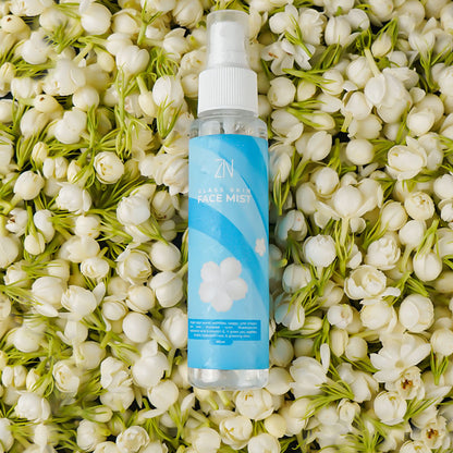 Zin Korean Glow Face Mist